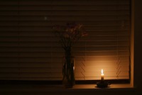 An image of a candle and a vase with flowers with blinds as a backdrop